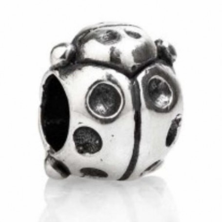 TEDORA BEADS CHARM-BV009